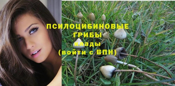 марки lsd Михайлов
